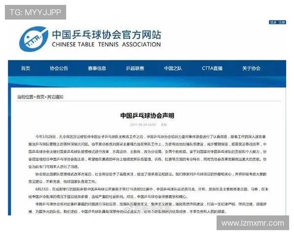 杭州乒乓球队灵活性深度对比分析及其影响因素探讨 杭州乒乓球队灵活性深度对比分析及其影响因素探讨
