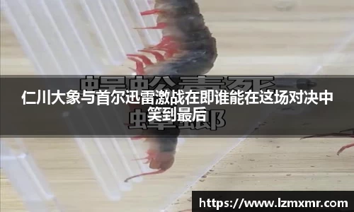 仁川大象与首尔迅雷激战在即谁能在这场对决中笑到最后